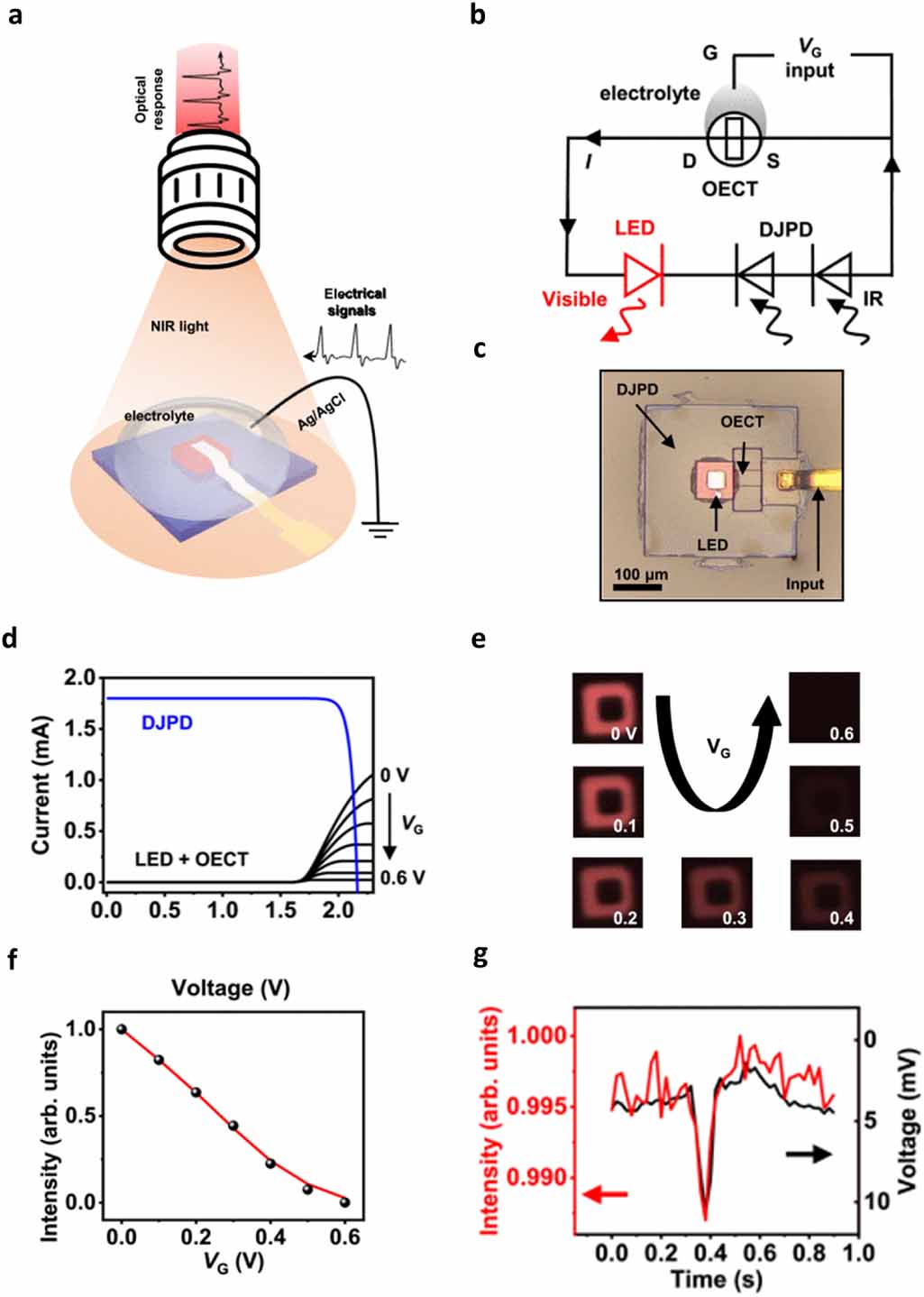 Advances in optical recording techniques for non-invasive monitoring of ...