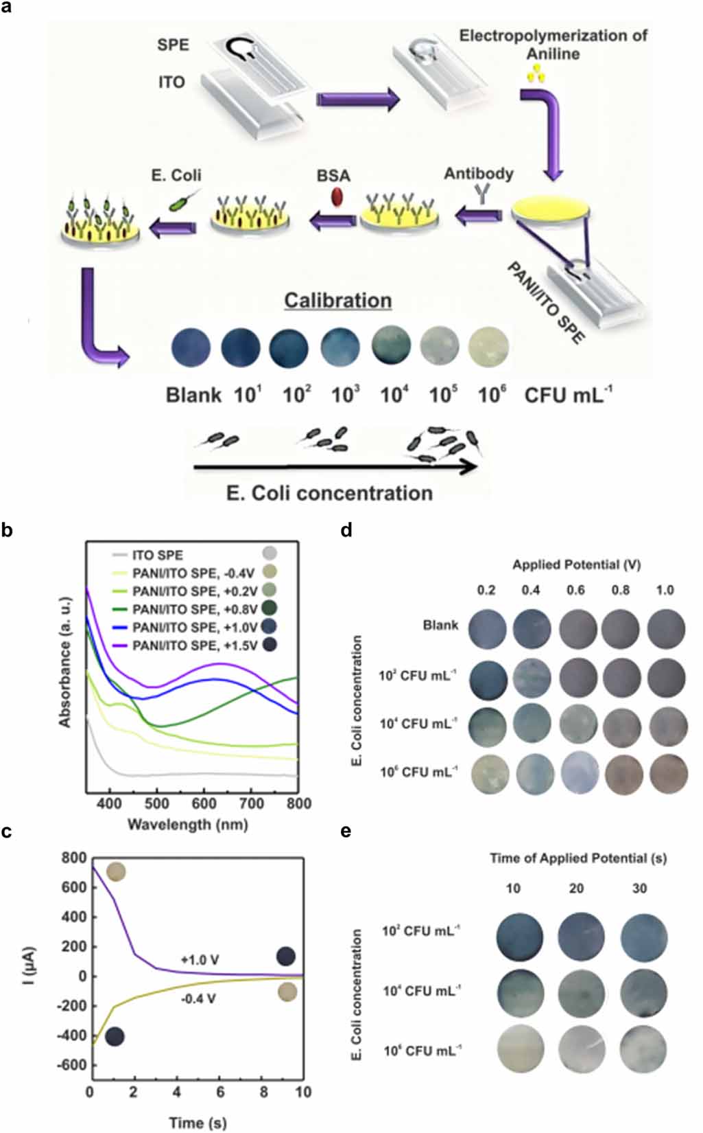 Advances in optical recording techniques for non-invasive monitoring of ...