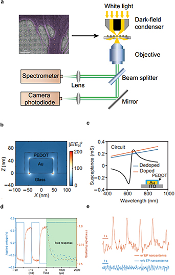 Advances in optical recording techniques for non-invasive monitoring of ...