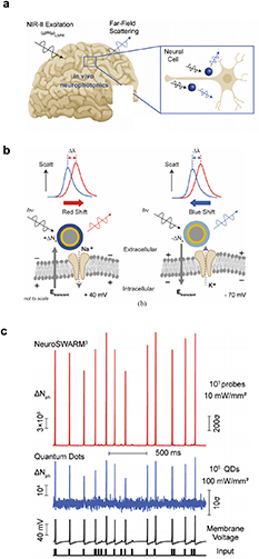 Advances in optical recording techniques for non-invasive monitoring of ...