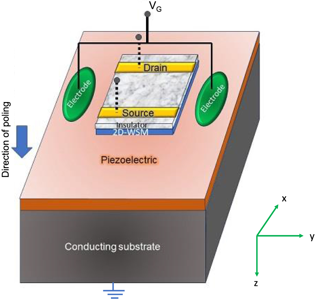 A spin field effect transistor based on a strained two dimensional ...