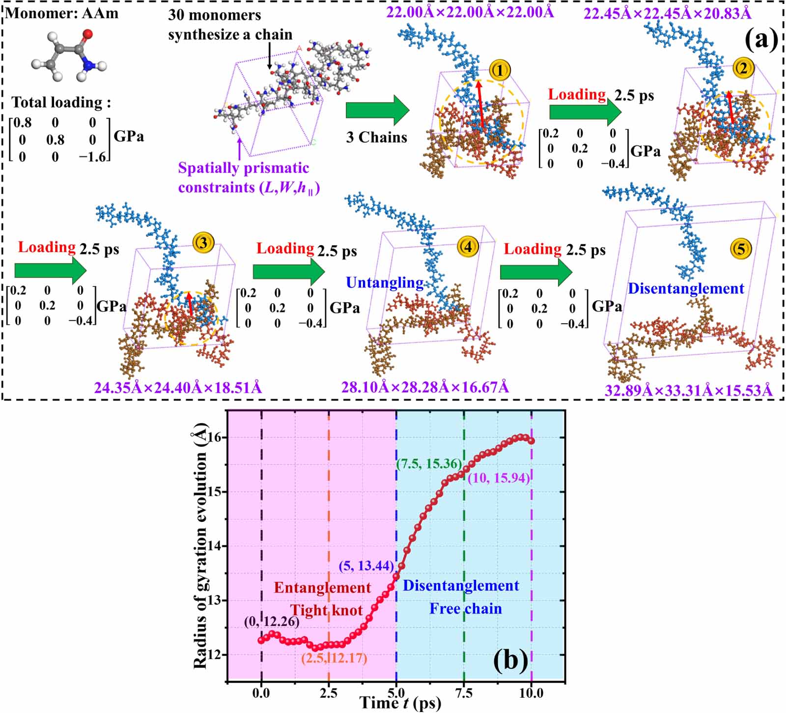 An entanglement constraint model of topological knot in highly ...