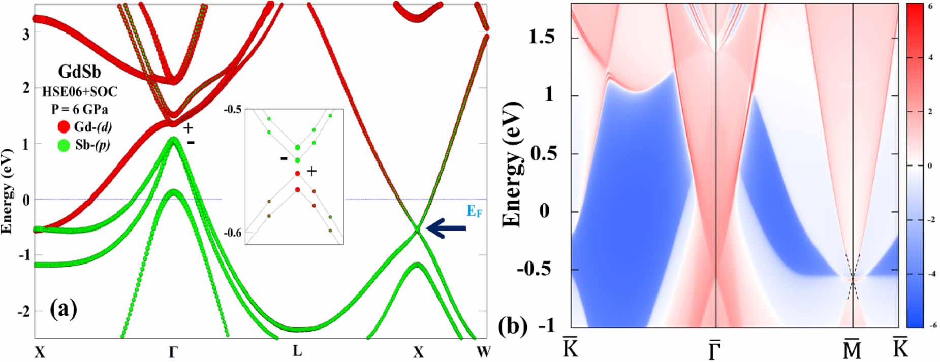 Emergence of topological phase and non-trivial surface states in rare ...