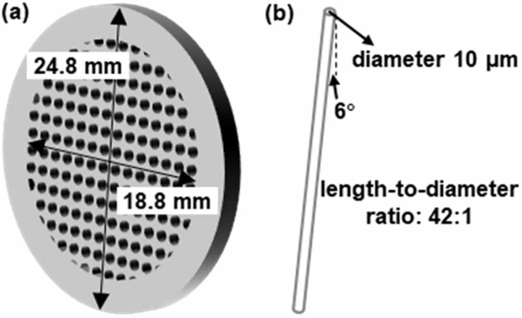 High-performance microchannel plates based on atomic layer