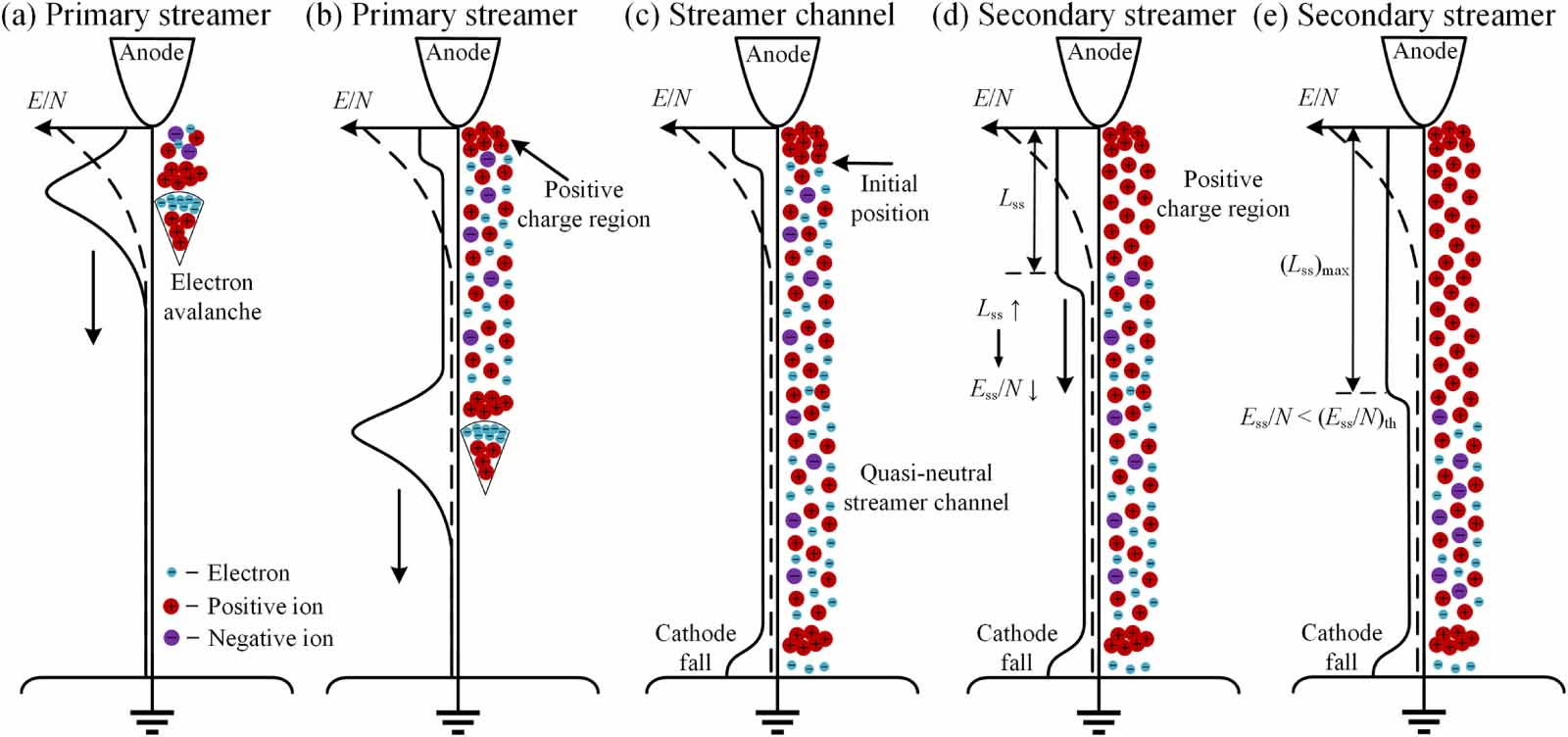Effects of pulse rise rate and pulse width on the dynamics of secondary ...