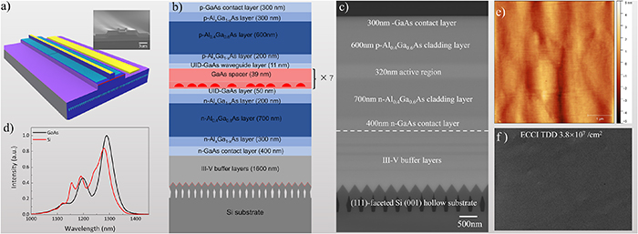 Quantum dot distributed feedback laser grown on silicon with laterally ...