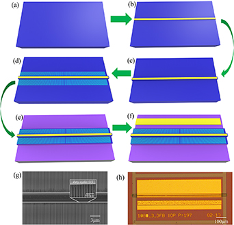 Quantum dot distributed feedback laser grown on silicon with laterally ...