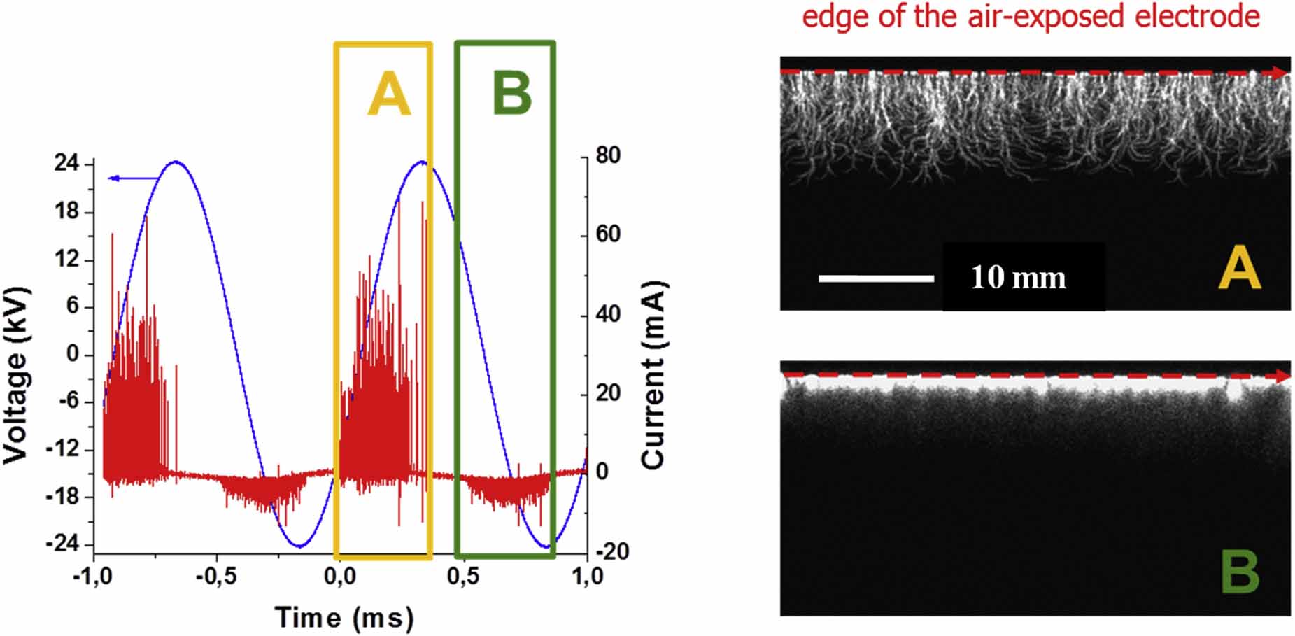 Role of surface discharge dynamics in the generation of ...