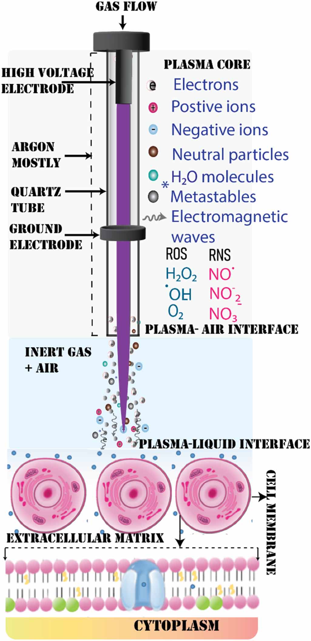 P How to control the plasma jet production of reactive species