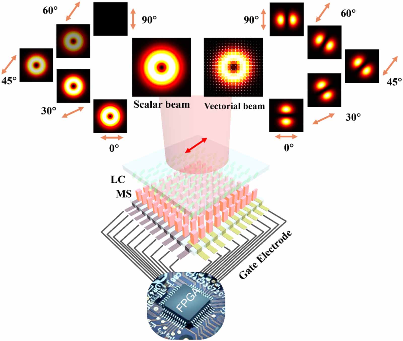 Vortex Lasing Switchable scalar and vectorial vortex laser based on dynamically ...