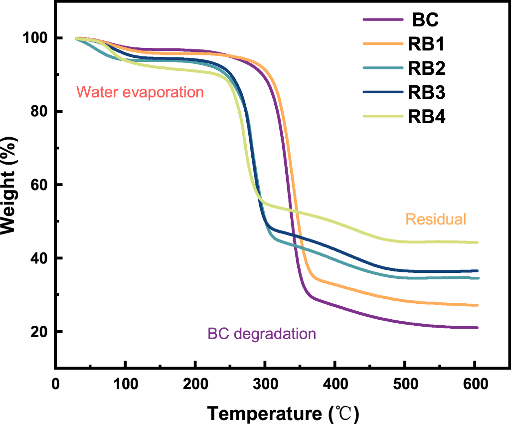 Enhanced dielectric properties and energy density of polypropylene ...