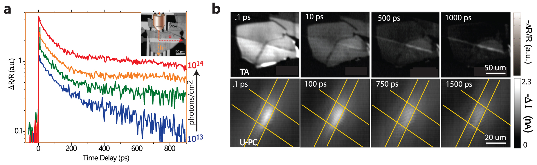 Imaging exciton interactions in two-dimensional materials and ...
