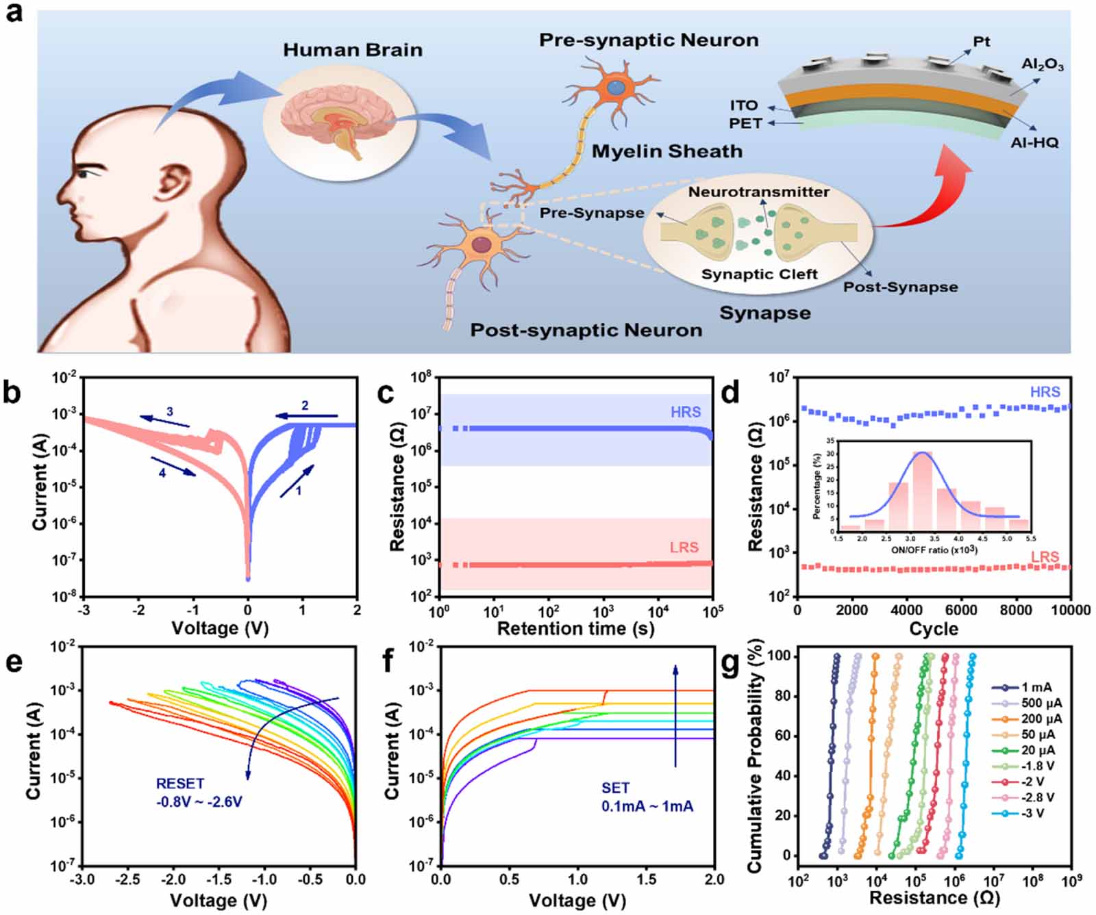A multilevel resistive switching memristor based on flexible organic ...