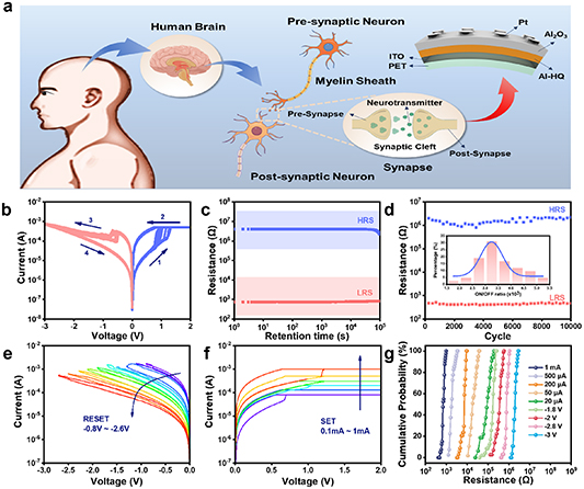 A multilevel resistive switching memristor based on flexible organic ...