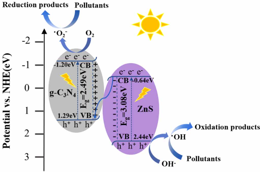 Z-scheme g-C3N4/ZnS heterojunction with redox synergy for high ...