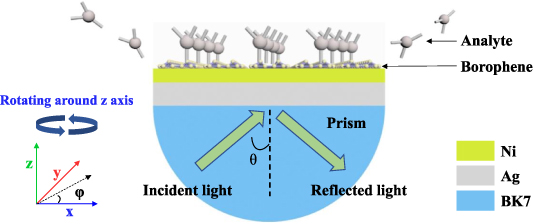 Ultra-sensitive and rotation angle-dependent plasmonic biosensors