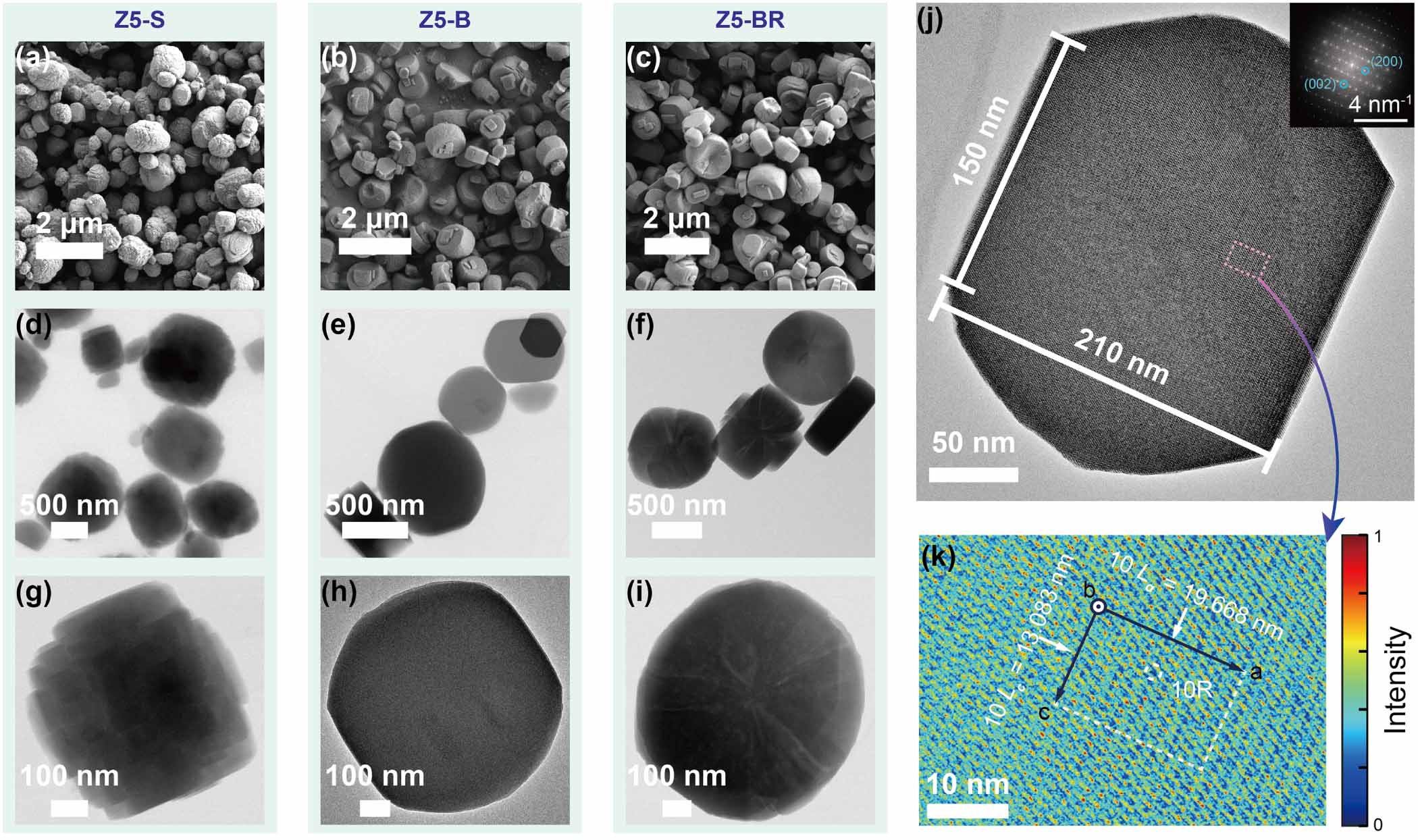 Geometry-intermediated transport in zeolite for advanced