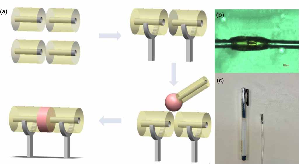 Optical fiber sensor based on Vernier effect of Fabry–Perot and Sagnac ...
