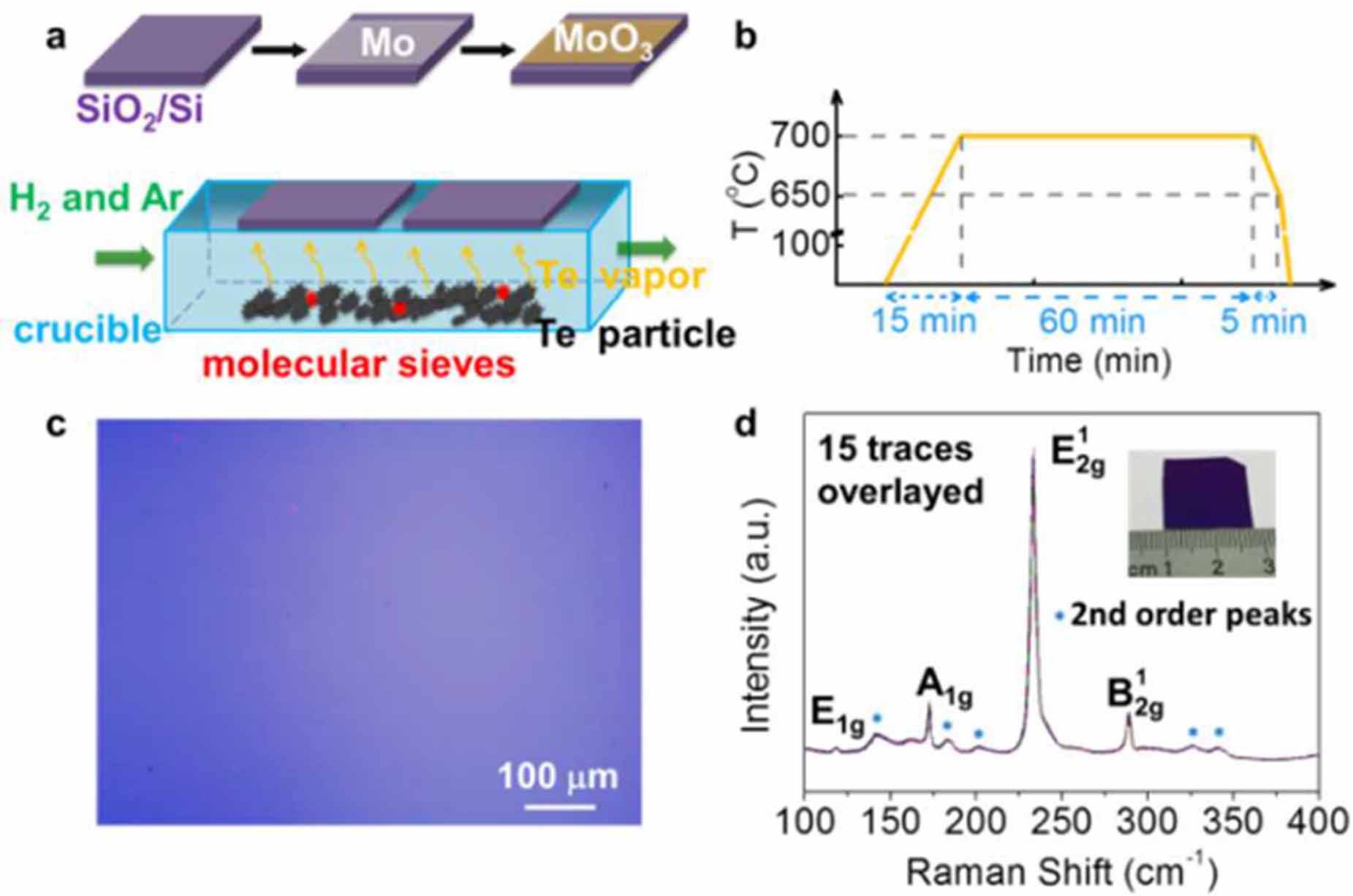 Multifunctional 2D MoTe2: Recent developments and future perspectives ...