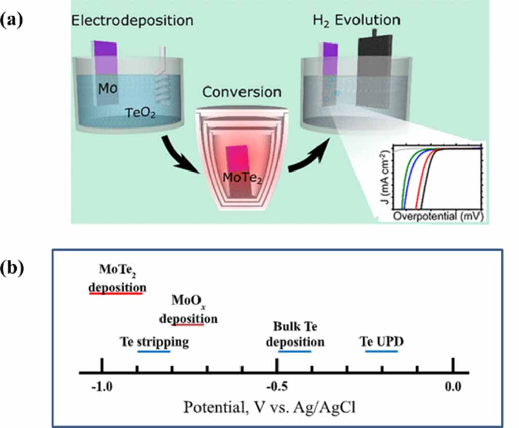 Multifunctional 2D MoTe2: Recent developments and future perspectives ...