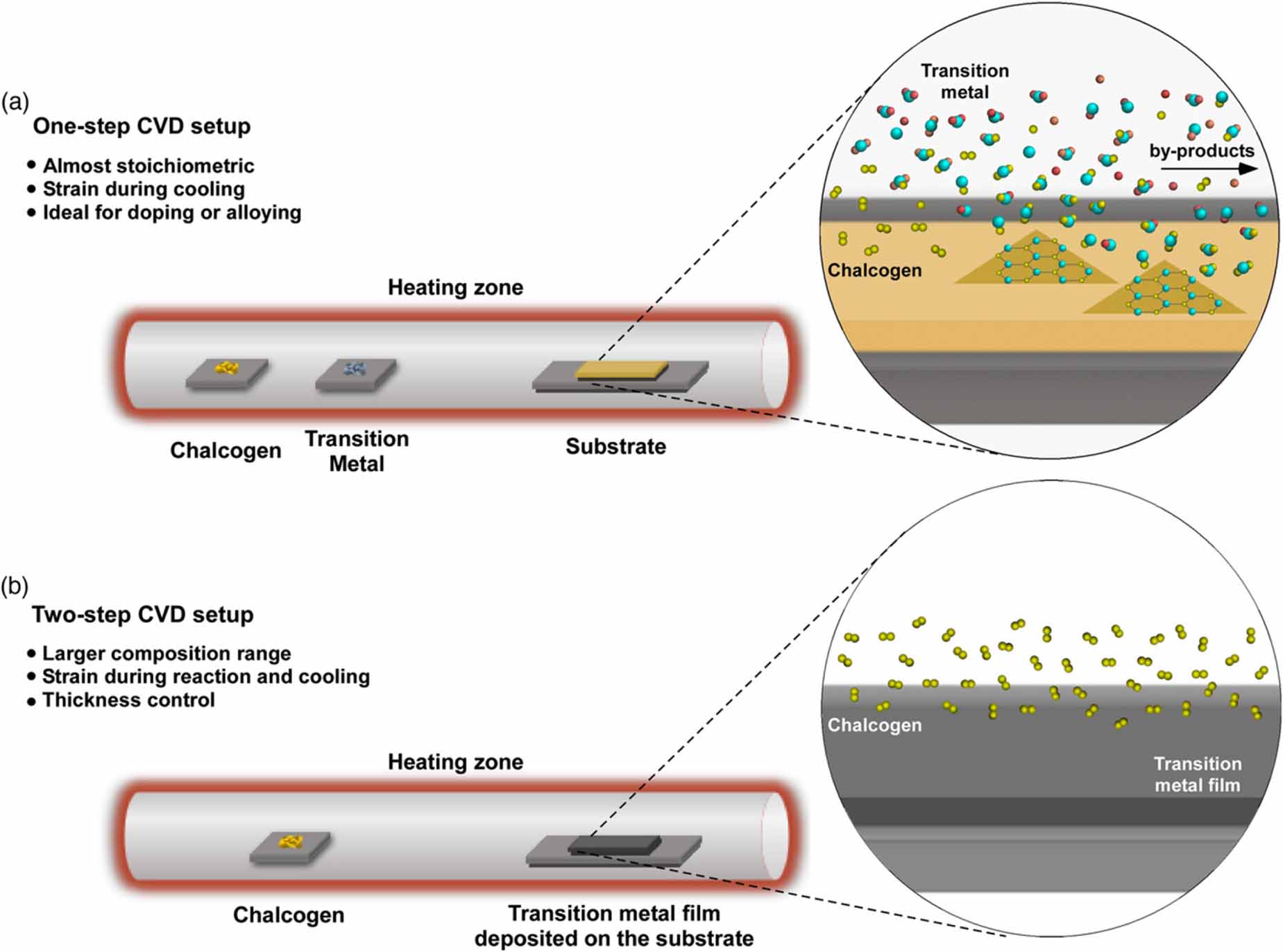 Multifunctional 2D MoTe2: Recent developments and future perspectives ...