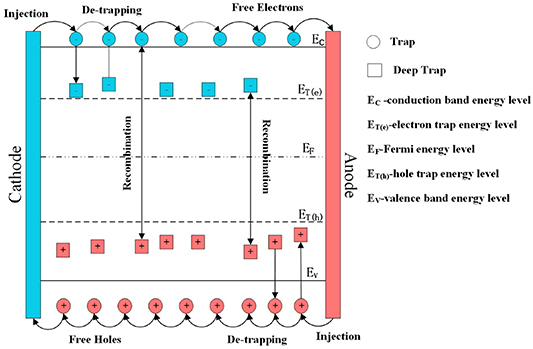 A novel simulation of space charge decay dynamics after removing the ...