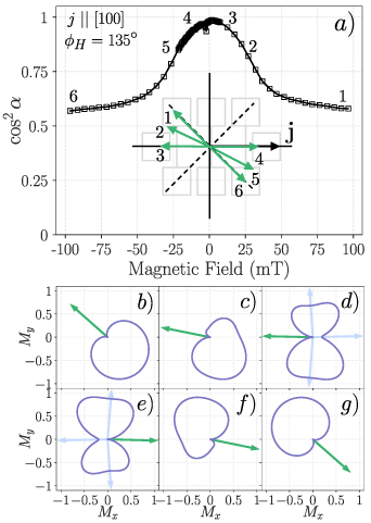 Magnetization process in epitaxial thin films via