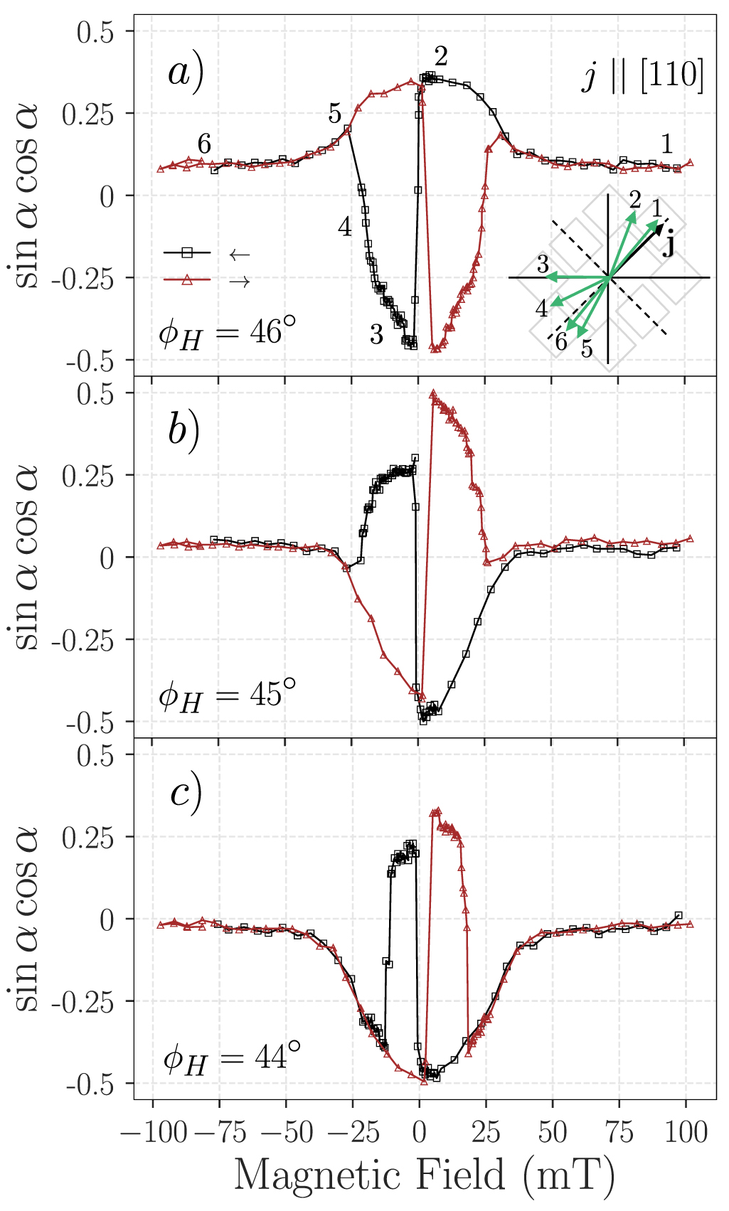 Magnetization process in epitaxial thin films via