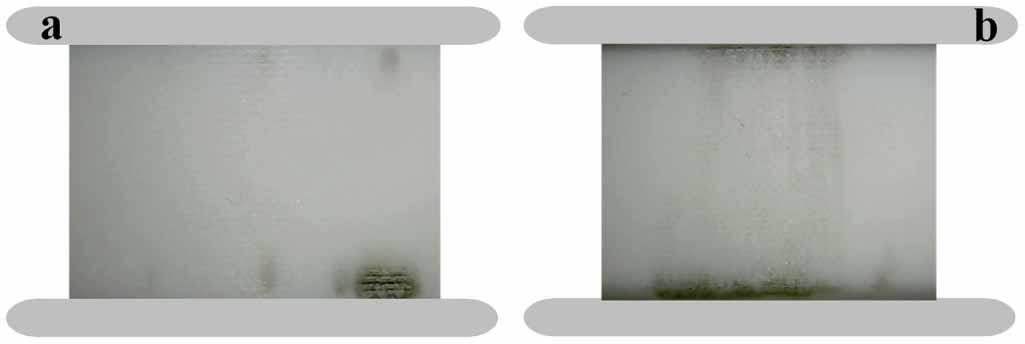 Surface Insolution The influence of discharge-generated ultraviolet radiation on surface ...