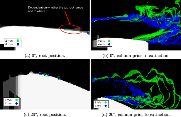 Wind tunnel experiments of long arcs in crossflow: anodic roots and ...