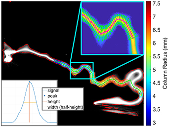 Wind tunnel experiments of long arcs in crossflow: anodic roots and ...