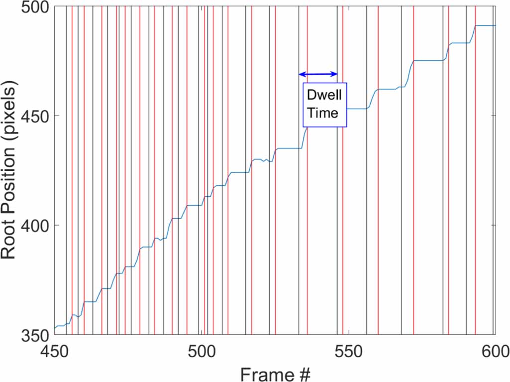 Wind tunnel experiments of long arcs in crossflow: anodic roots and ...