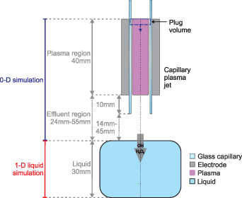 Concentration profiles of OH and H2O2 in plasma-treated water ...