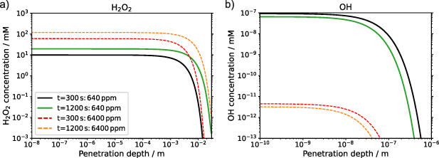 Concentration profiles of OH and H2O2 in plasma-treated water ...