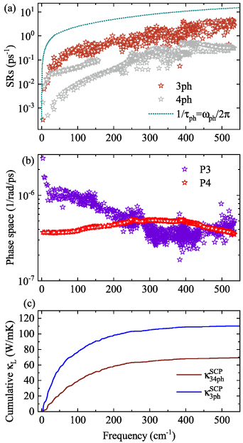 The influence of lattice anharmonicity on the thermal transport ...