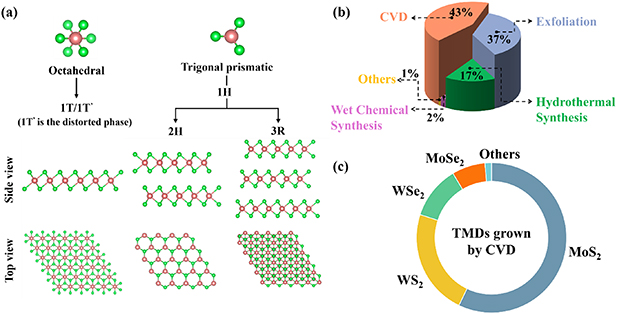 Progress in the chemical vapor deposition of 2D transition metal ...