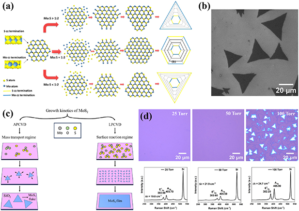 Progress in the chemical vapor deposition of 2D transition metal ...