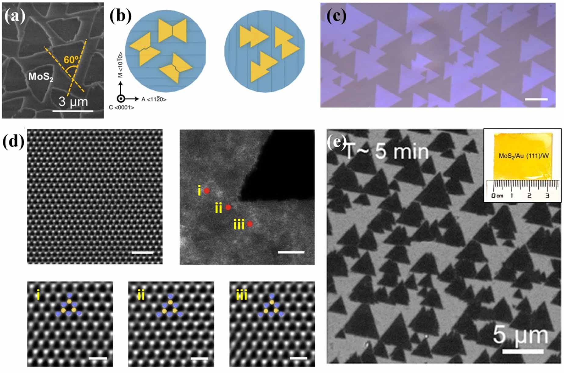 Progress in the chemical vapor deposition of 2D transition metal ...