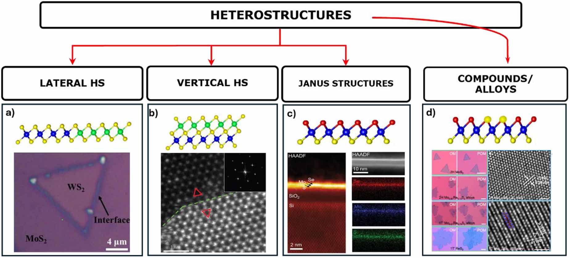 Progress in the chemical vapor deposition of 2D transition metal ...