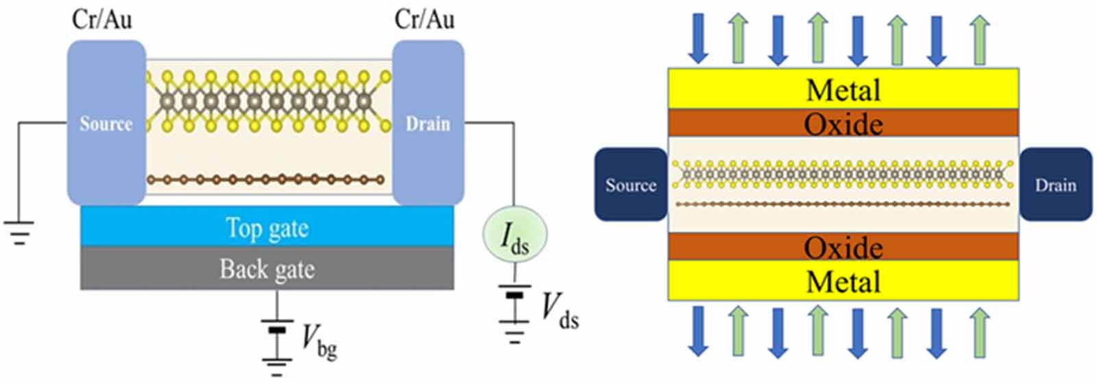 Interface contact and electronic properties modulated by external ...