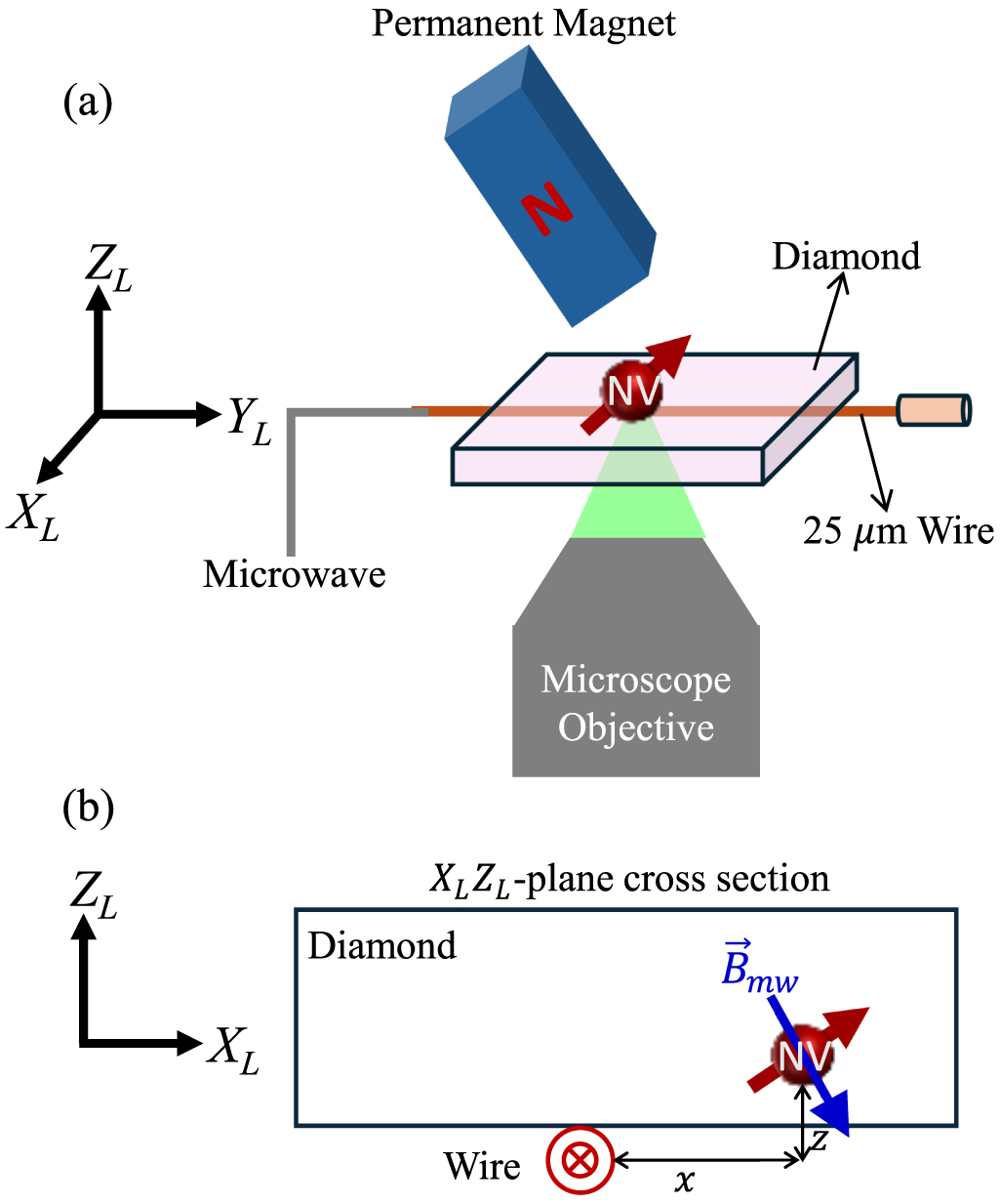 Imaging of microwave magnetic field orientation using continuous-wave ...
