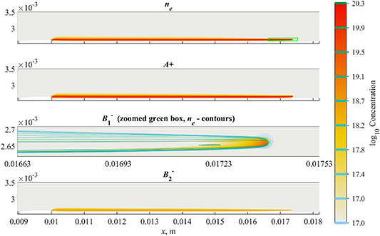 Numerical model of streamer discharge with adaptive mesh and KKT-based ...