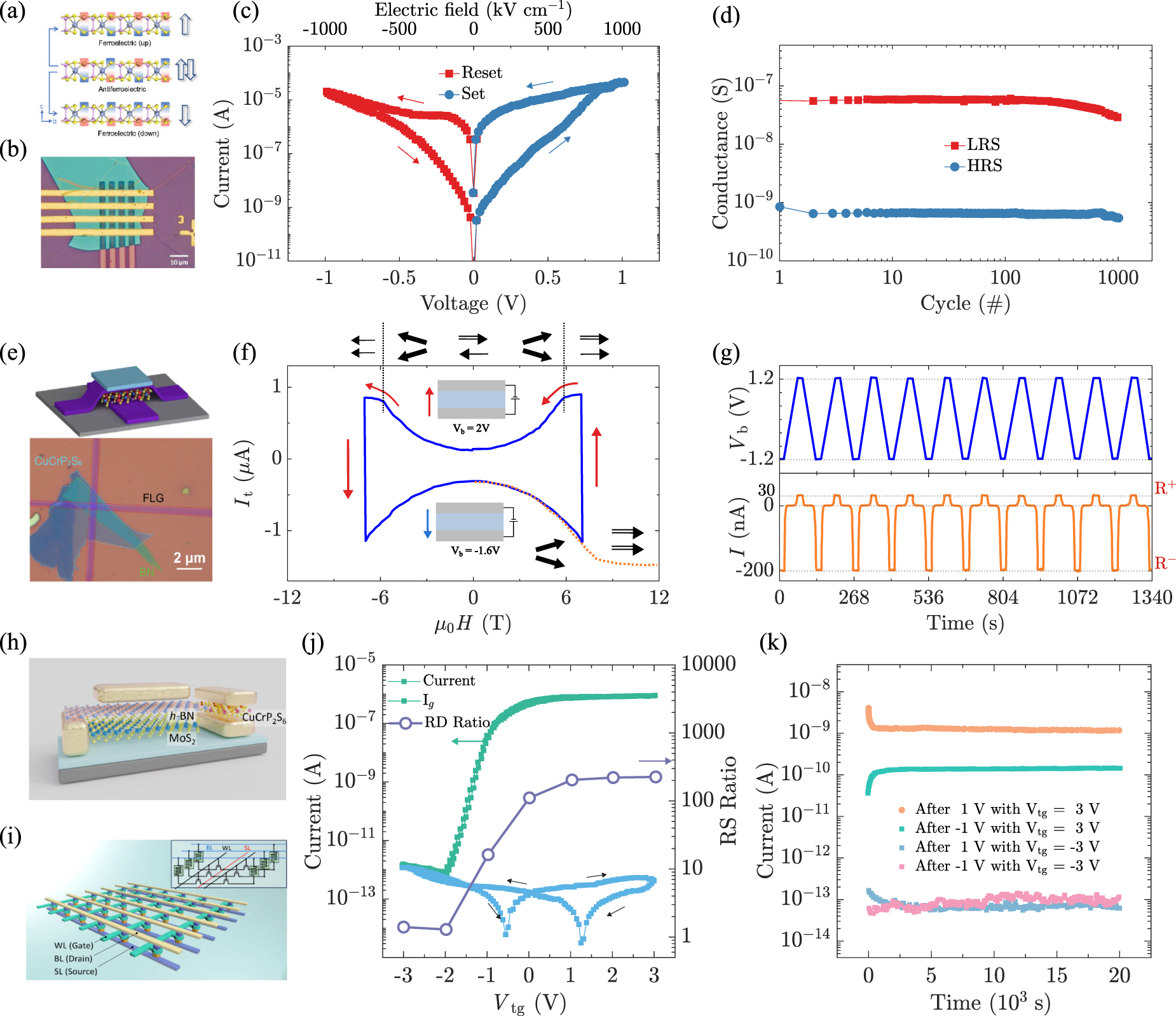 Two-dimensional field-effect transistor empowering multifunctional