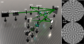 Full vector vortex beam based on multiple-degree-of-freedom modulation ...