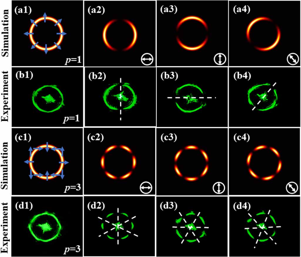 Full vector vortex beam based on multiple-degree-of-freedom modulation ...