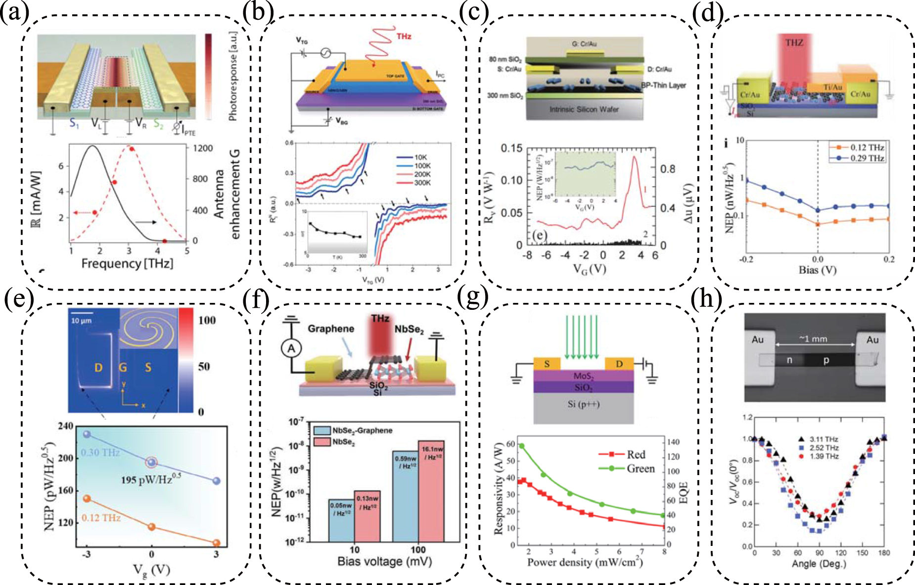 High-performance Teraherz photodetection in 2D materials and ...