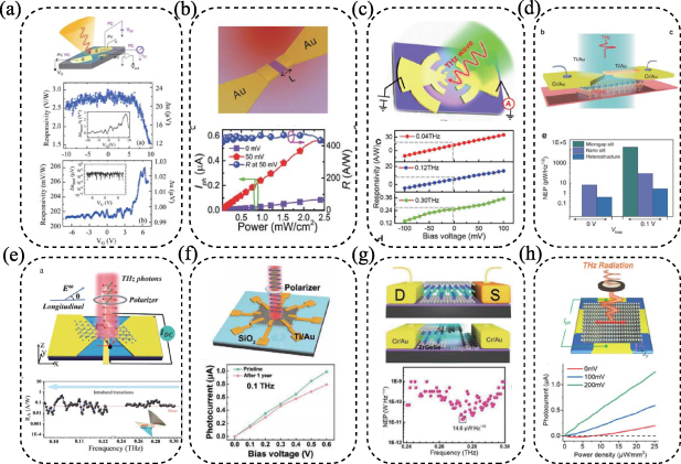 High-performance Teraherz photodetection in 2D materials and ...