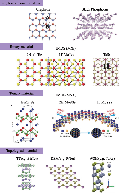 High-performance Teraherz photodetection in 2D materials and ...
