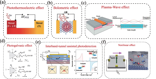 High-performance Teraherz photodetection in 2D materials and ...