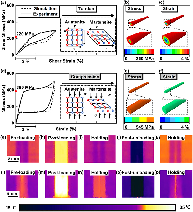 Twistocaloric effect versus elastocaloric effect in shape memory alloys ...